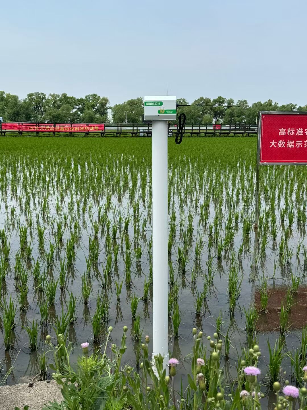 QQ图片20250620083208.jpg