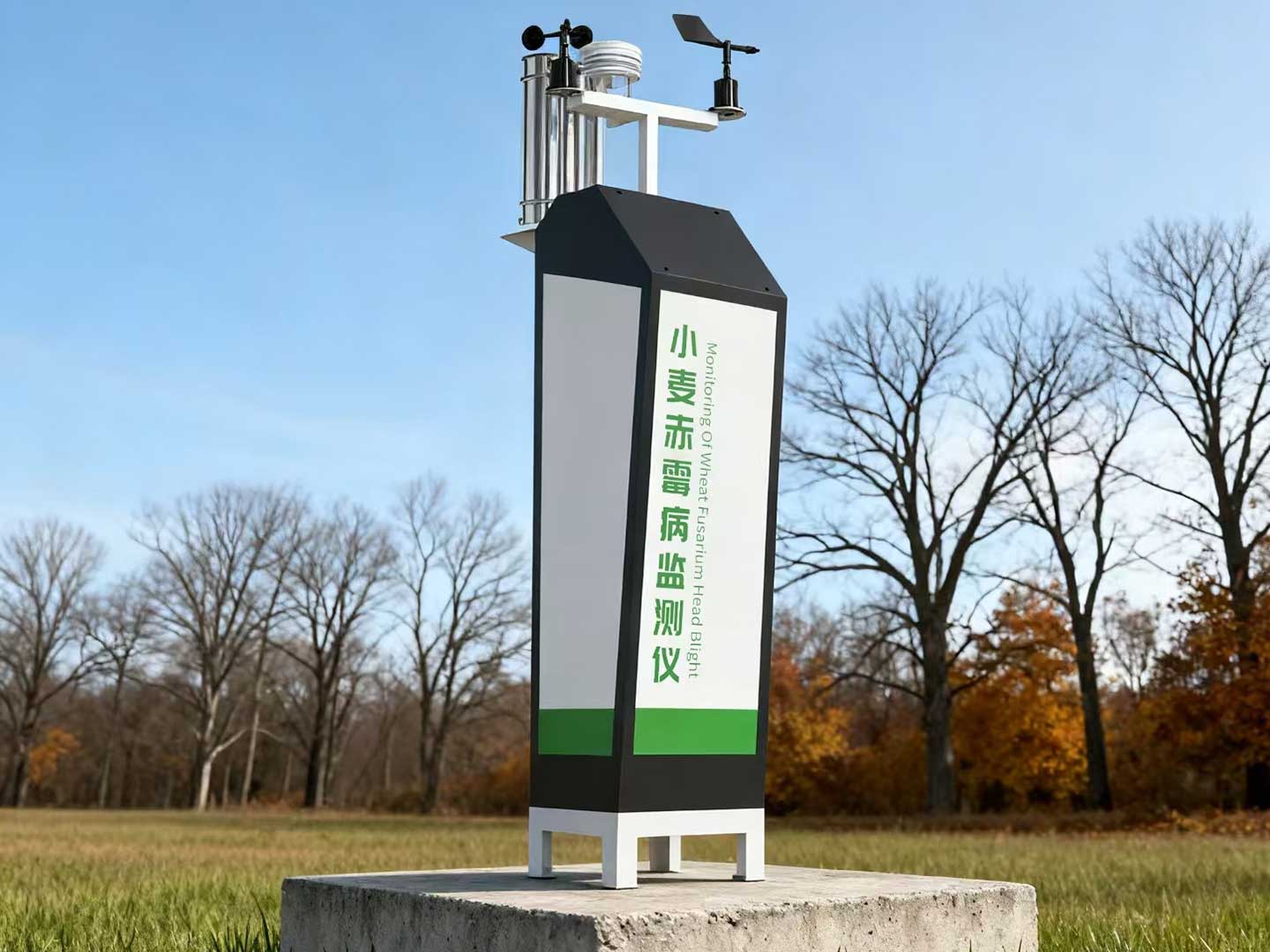 1764730547559432.jpg 1666156952159435.jpg