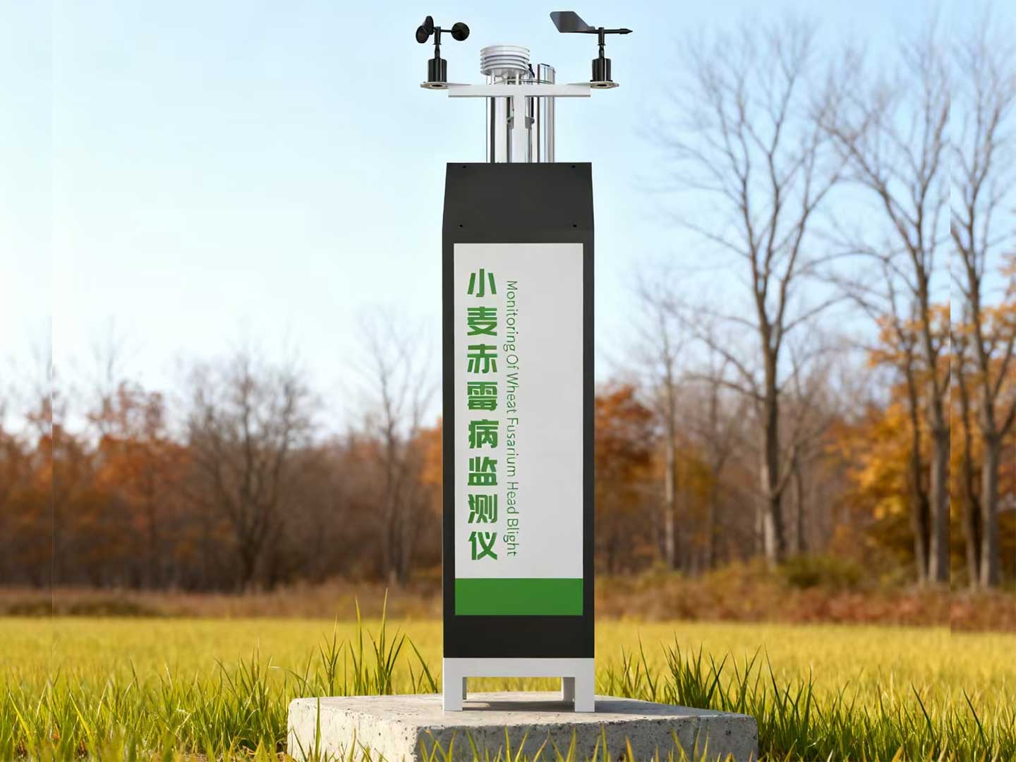 1764730649225578.jpg 1.jpg