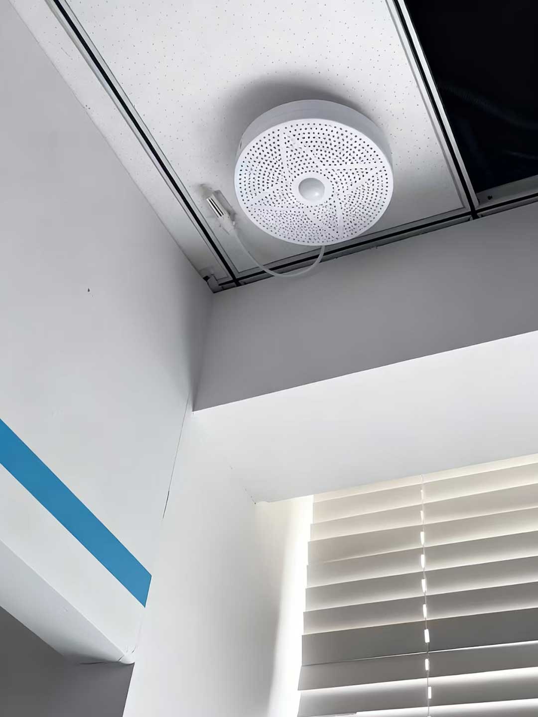 1765267037106453.jpg 133.jpg