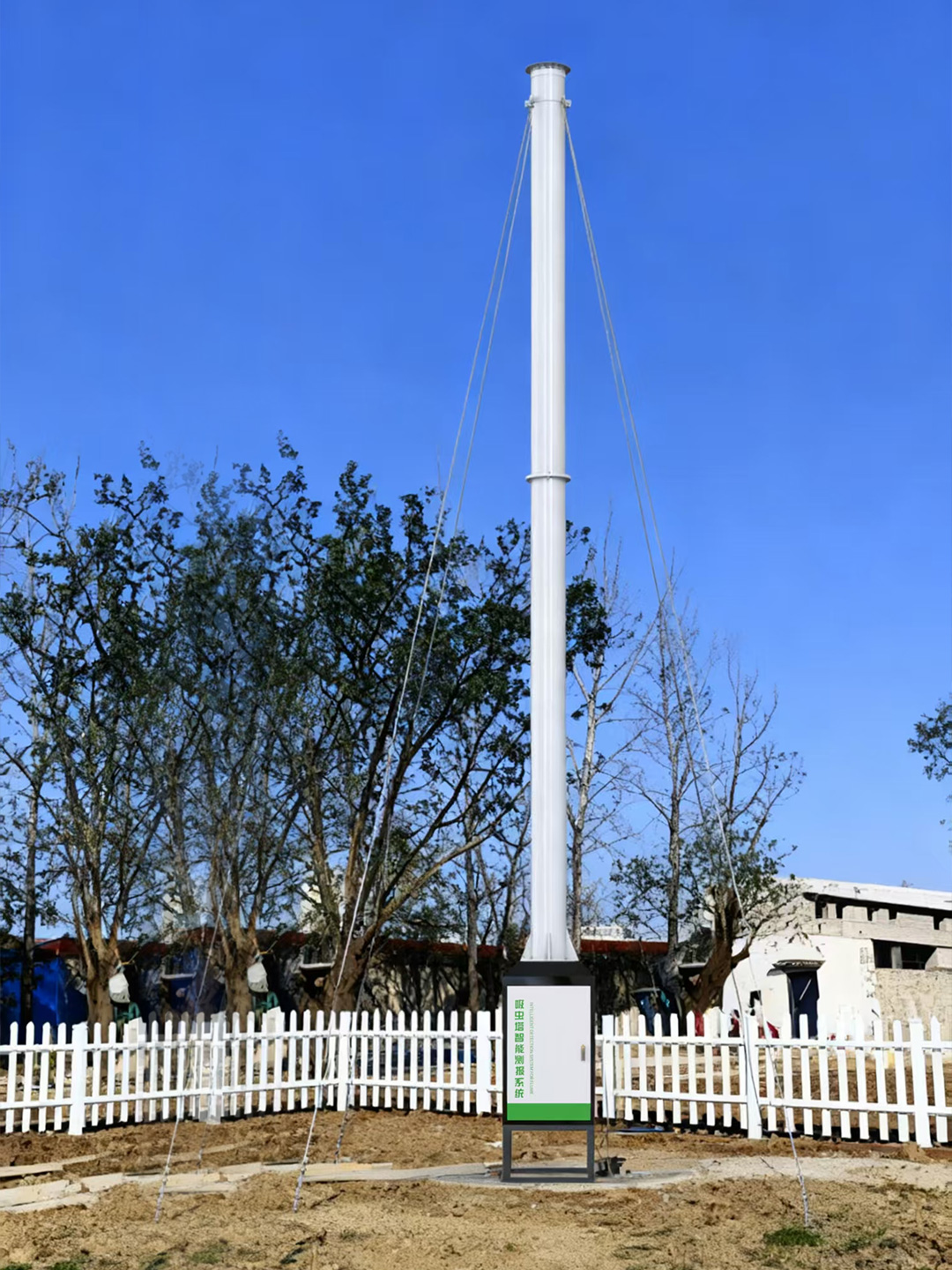 1765437972166419.jpg 231.jpg