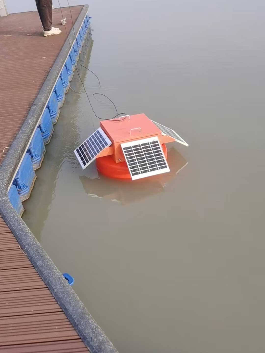 1766045449434483.jpg 4.jpg