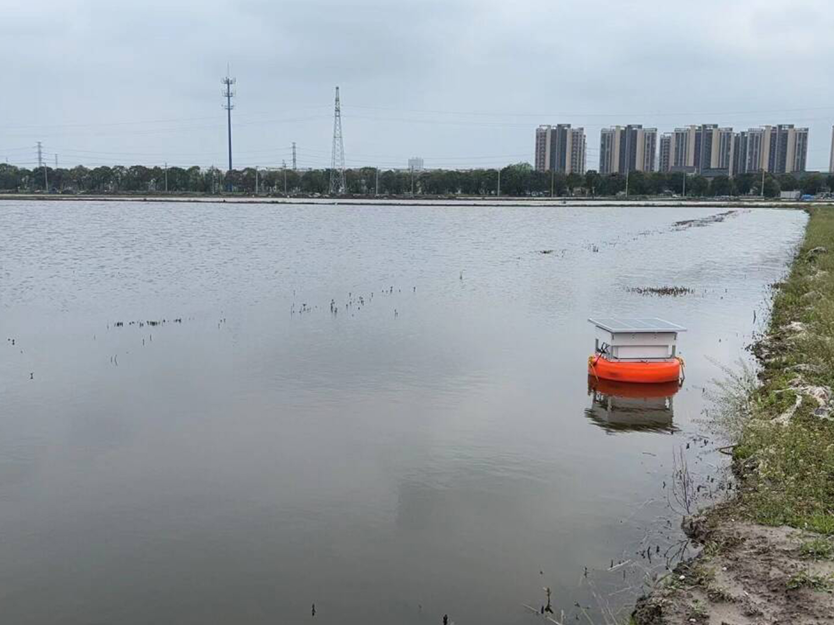 1766539458211066.jpg 1715847621170653.jpg