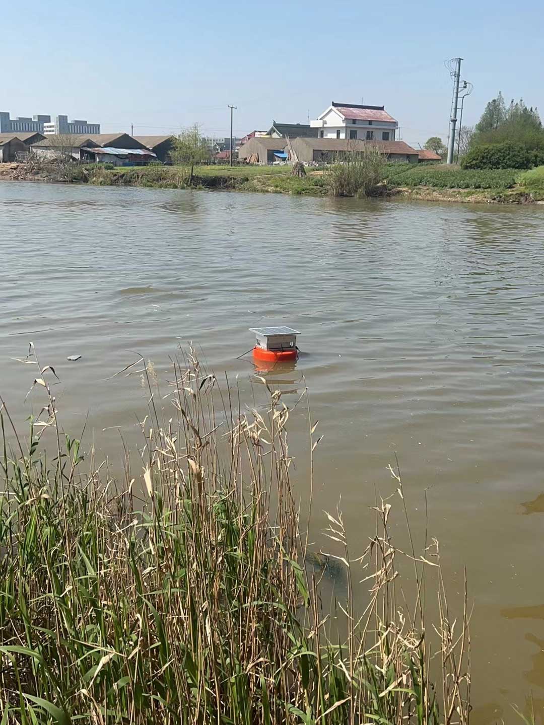 1766539461808065.jpg 6.jpg